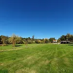 Quinta Rio De Oliveira *