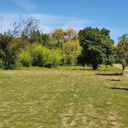 Quinta Rio De Oliveira *