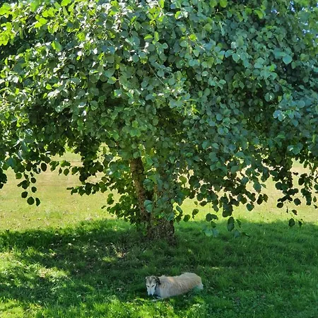 Quinta Rio De Oliveira Covas (Coimbra)