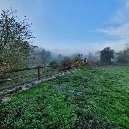 Quinta Rio De Oliveira *