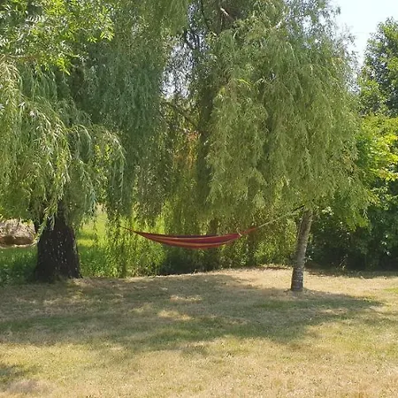 Quinta Rio De Oliveira *