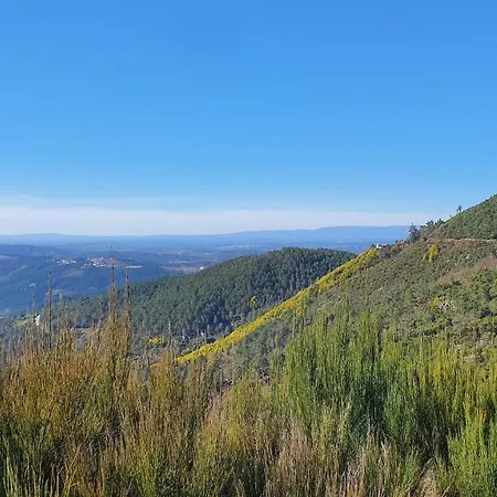 Semesterbostad Quinta Rio De Oliveira Covas (Coimbra)