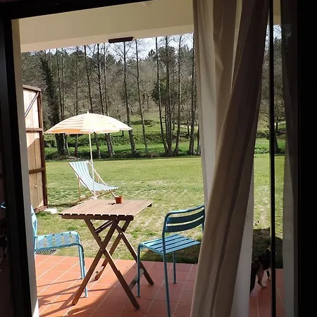 Quinta Rio De Oliveira *