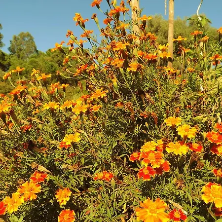 Quinta Rio De Oliveira Casa vacanze Covas (Coimbra)