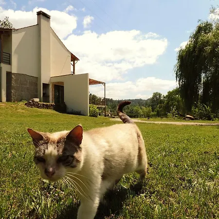 Quinta Rio De Oliveira Semesterbostad *