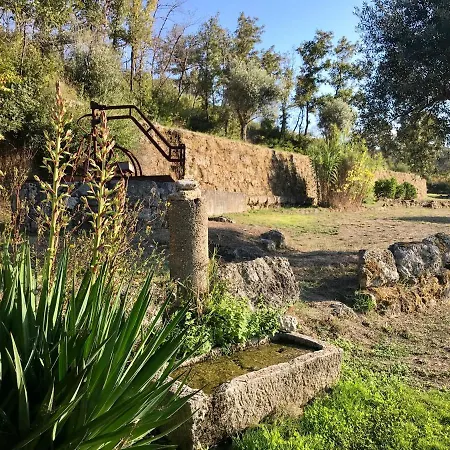 Quinta Rio De Oliveira Semesterbostad Covas (Coimbra)