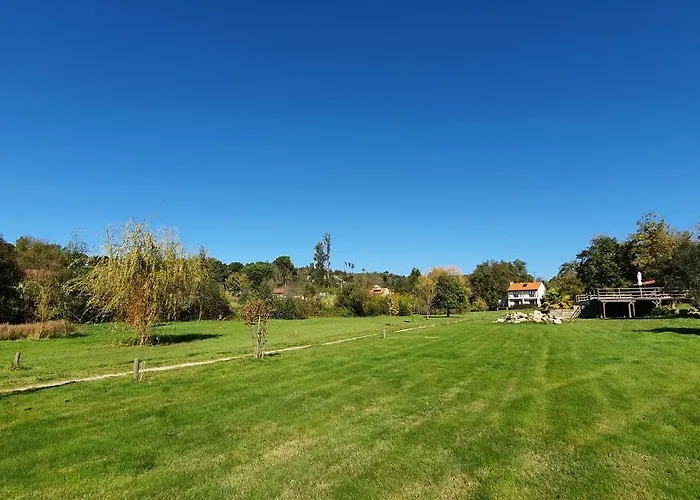 Quinta Rio De Oliveira *