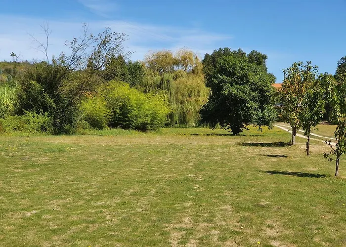 Quinta Rio De Oliveira *