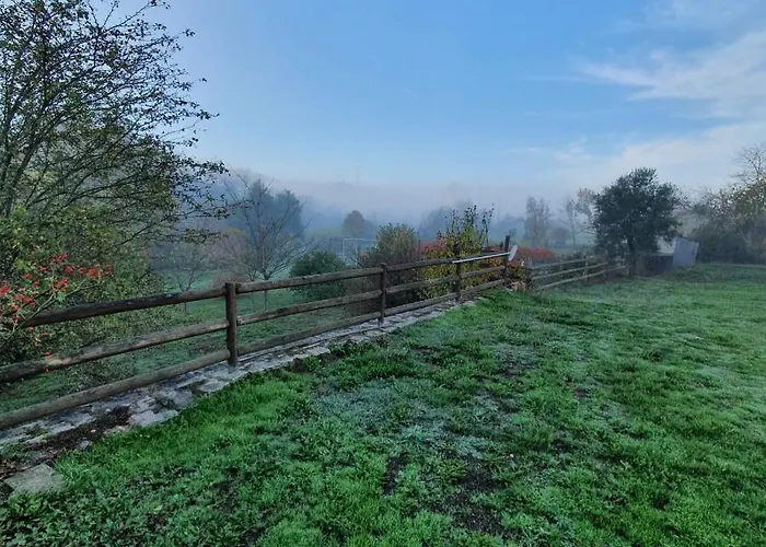 Quinta Rio De Oliveira *