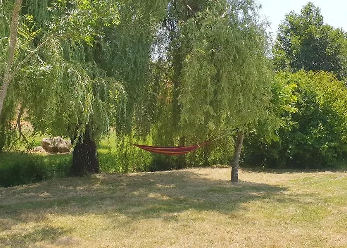 Quinta Rio De Oliveira *