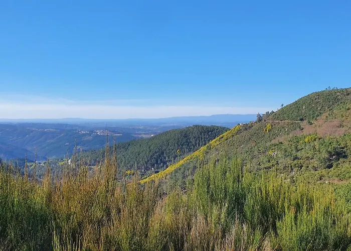 Casa de Férias Quinta Rio De Oliveira Covas (Coimbra)