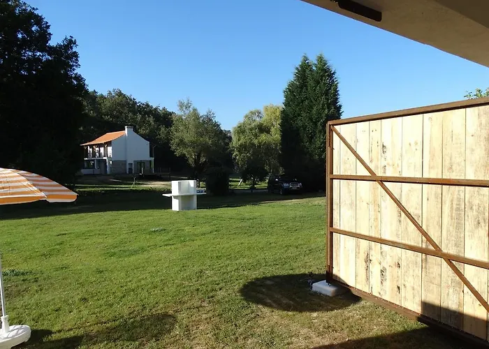 Quinta Rio De Oliveira *