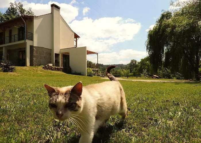 Quinta Rio De Oliveira Casa de Férias *