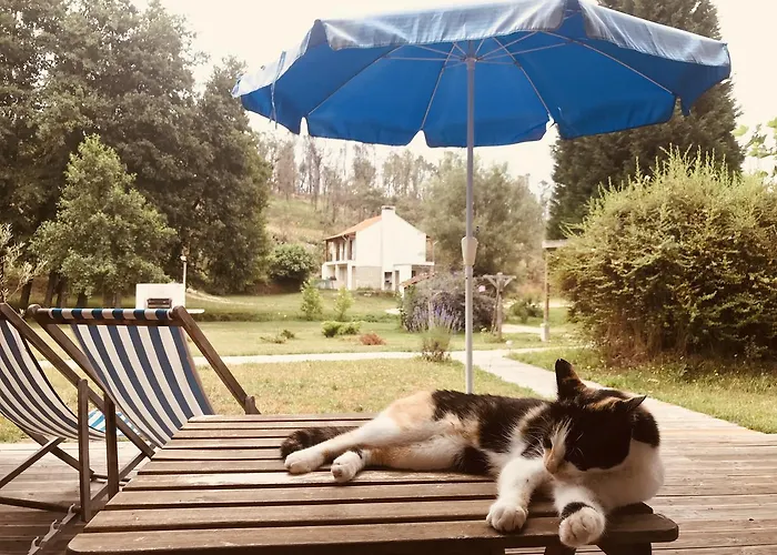 Quinta Rio De Oliveira Casa de Férias