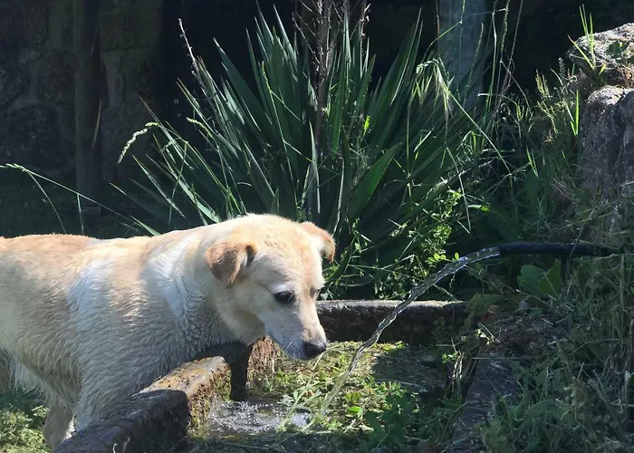 Quinta Rio De Oliveira Covas (Coimbra)