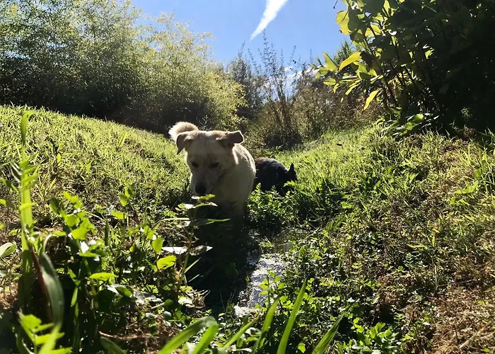 Casa de Férias Quinta Rio De Oliveira *