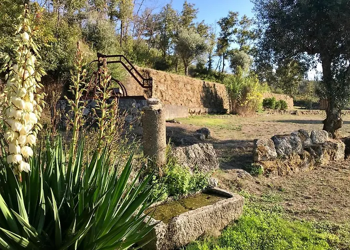 Quinta Rio De Oliveira Casa de Férias Covas (Coimbra)